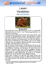 Orang-Utan - Sachtext.pdf